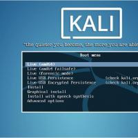 Как установить Kali Linux основной или второй операционной системой Кали линукс системные требования