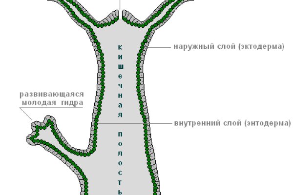 Кракен даркнет тор